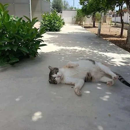 Appartement Lida's House *