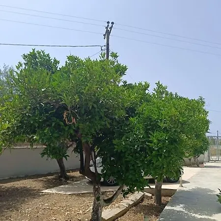 Apartman Lida's House *