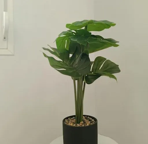 Apartament Lida's House Loutráki