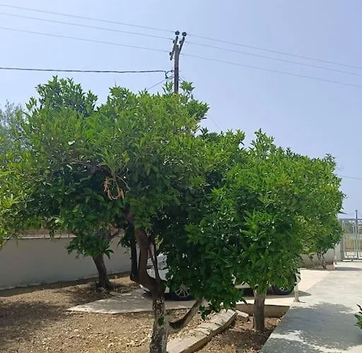 Apartament Lida's House *