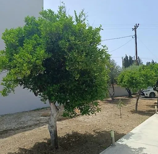 Lida's House 아파트 루트라키